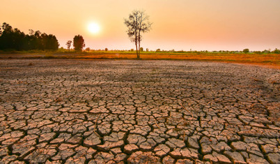 Tarıma ve gıdaya El Nino tehdidi