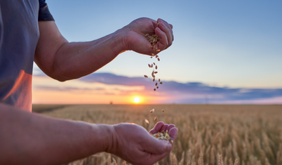 Fiyatlar artıyor gıda milliyetçiliği hortlayabilir