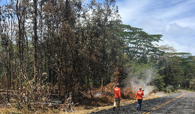 Hawaii'de orman yangınları: 36 kişi öldü