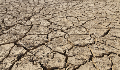Küresel ısınma İran'ı kuruttu: Her yıl yaklaşık 1,5 milyon hektar alan çölleşiyor