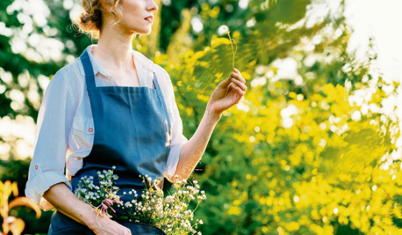 Bitkileri görmezden gelmeyelim!