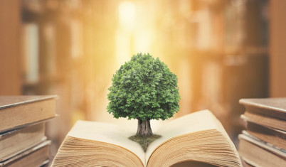 Yılan balığının acayip hikayesi