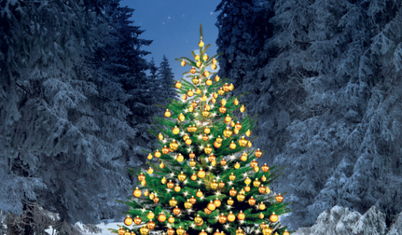 Her gördüğümüz çama süs asmayalım!