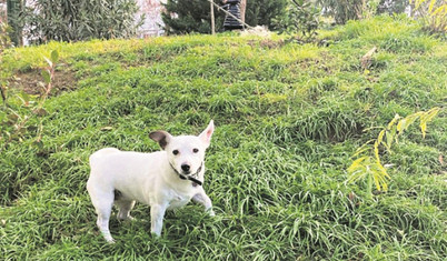 Köyden indim şehre, hem de bir hafta