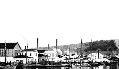 Zeytin Ayvalık’ta bir tarihtir