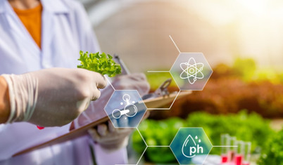 Avrupa'da bitkilerde genom düzenleme teknolojilerine vize çıktı