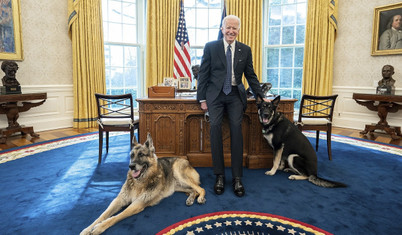 Belgeler paylaşıldı: Biden'ın köpeği Commander en az 24 Gizli Servis personelini ısırdı