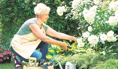 Bahçeciliğe gönül verince omurilik önemli