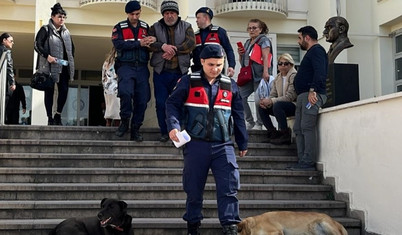 Bodrum'da 6 köpek ve 3 kediyi zehirleyen şüpheli tutuklandı
