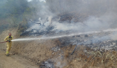 Sinop'ta çıkan orman yangınında 5 hektarlık alan kül oldu