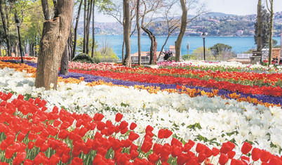 Çiçeklerin izinde İstanbul