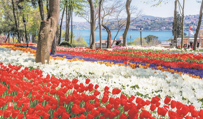 Çiçeklerin izinde İstanbul