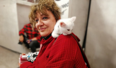 Âşık Kedi’nin yazarı Özlem Anar: Hayvanlara karşı öfkeli insanlara kızmak yerine üzülmek gerekir