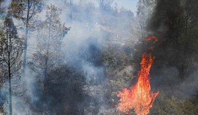 California'da orman yangınları: 6 bin 400 dönüm alan kül oldu, bölge sakinleri için tahliye emri verildi