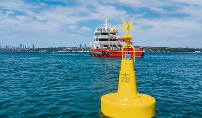 Deniz çayırları projesi ikinci aşamasında