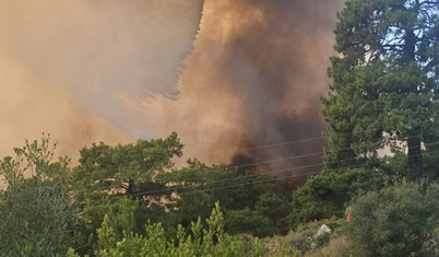 Antalya'da ormanlık alanda yangın çıktı