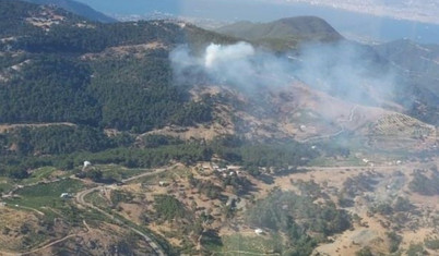 İzmir'de çıkan orman yangını kontrol altına alındı