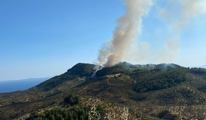 Çanakkale Ayvacık'ta orman yangını