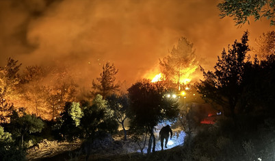 Muğla Milas'ta orman yangını