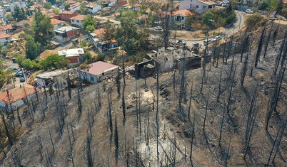 İzmir ve Aydın'daki yangında zarar görenlere nakdi yardım yapılacak