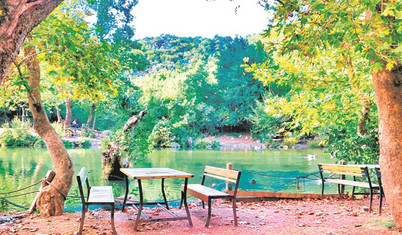 Şehrin kaosundan kaçış rehberi