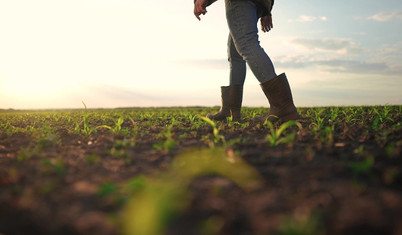 Ayşe Ayşin Işıkgece: Kırsal hayat cazip hale getirilirse gençler topraklarına sahip çıkar