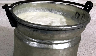 Bugüne kadar keşfedilen en eski örnek: 3 bin 500 yıllık mumyalarda kefir peyniri izlerine rastlandı