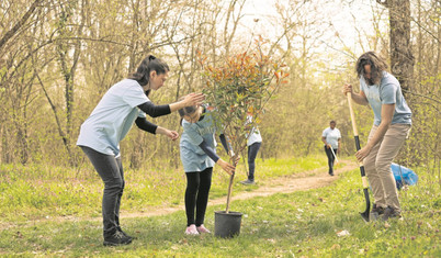 Dört ülkenin gençleri Karadeniz’in geleceği için birleşti