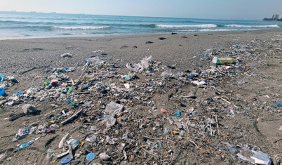 Mersin Körfezi alarm veriyor: Müsilaja benzer köpüklenme görüldü