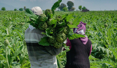 Migros sürdürülebilirlik anlayışı ile fark yaratan projelere imza atıyor