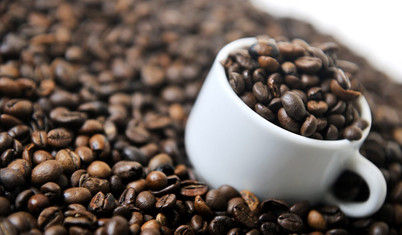 Kahve krizi büyüyor: Kesilen binlerce ağacın faturası kahveye çıkacak, fiyatlar yükselecek