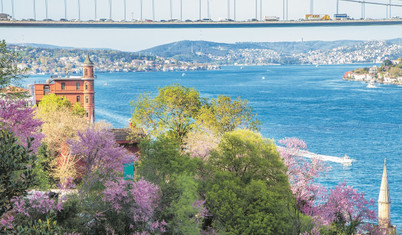 Boğaz’da erguvan yağmuru başladı