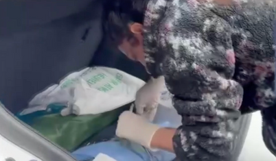 Sarıyer'de veteriner depreme ameliyatta yakalandı