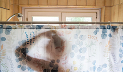 Sabah kalkınca mı yoksa yatmadan önce mi duş alınmalı?