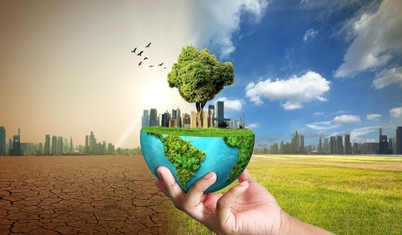 Yeni Zelanda'da yaklaşık 300 avukat iklim planının yetersizliği nedeniyle hükümete dava açtı