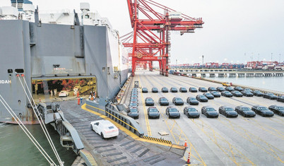 Ya dönüş ya yok ol