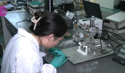 Çin, arılara çip yerleştirip beyinlerini kontrol etmeye başladı