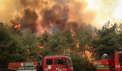 Sakarya'da çıkan orman yangını Bilecik'e sıçradı: Alevlerle mücadelede üçüncü gün