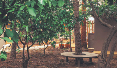 Mandalina ağaçları altında sanat