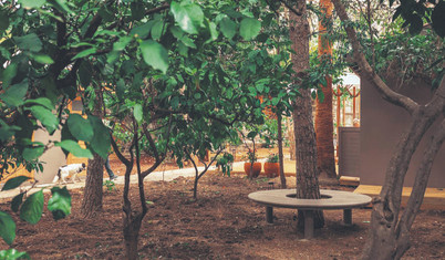 Mandalina ağaçları altında sanat