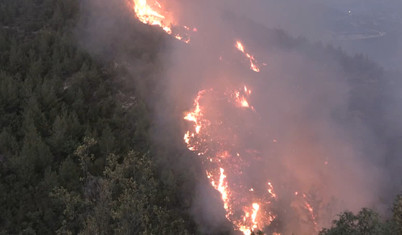 Hatay'da ormanlık alanda yangın çıktı