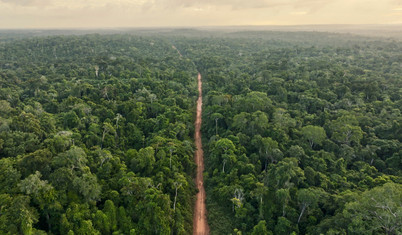 Her işin içinde uyuşturucu karteli parmağı var