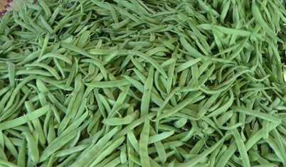 Taze fasulyenin her türlüsü