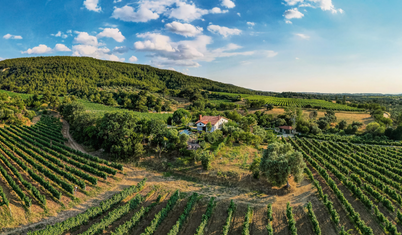 Bölüm 3: Çanakkale bağ rotası / Toprağa hayat veren 5 bin yıllık gelenek