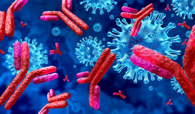 Bağışıklığın sessiz bekçileri