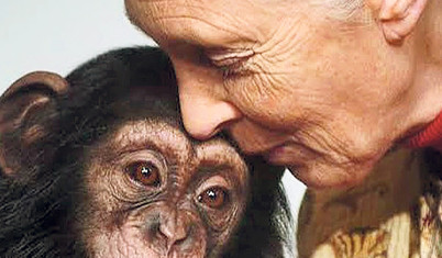 Jane Goodall’un son sözleri
