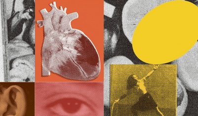 Bu dört alışkanlığın yararları kalple sınırlı değil