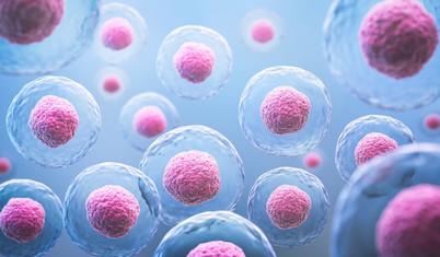 Çalışmalar durdu: Yaşamın sonunu getirebilecek "ayna hücre"