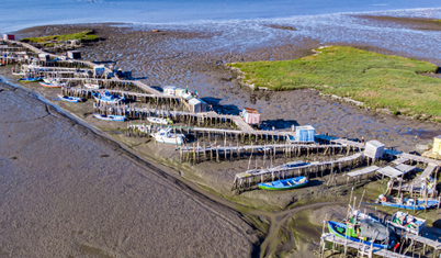 Comporta dönüşümün eşiğinde: Portekiz’in 'yeni Rivierası' doğayla çatışıyor