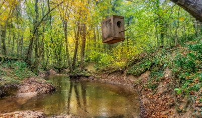 Şehirden sıkılanlara, İstanbul'a yakın kaçış rotaları